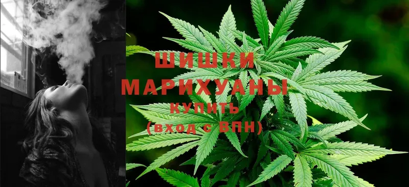 закладки  Заринск  Шишки марихуана SATIVA & INDICA 